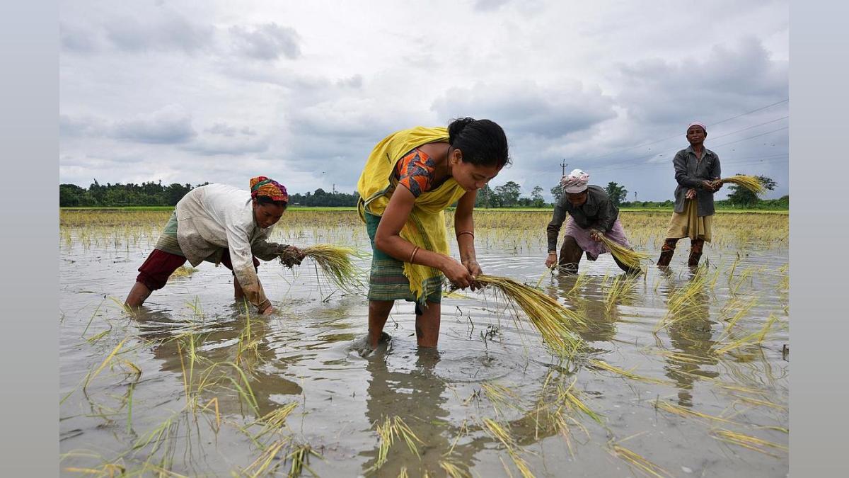 Delhi Govt's Viksit Krishi Campaign: Boosting Kharif Crop Production