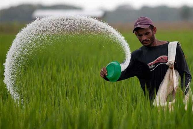 Fertiliser