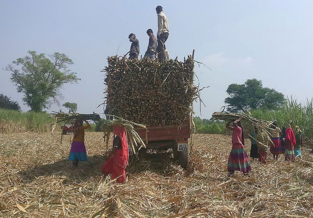 UP Govt Raises Sugarcane Price by Rs 20 - Ahead of Elections