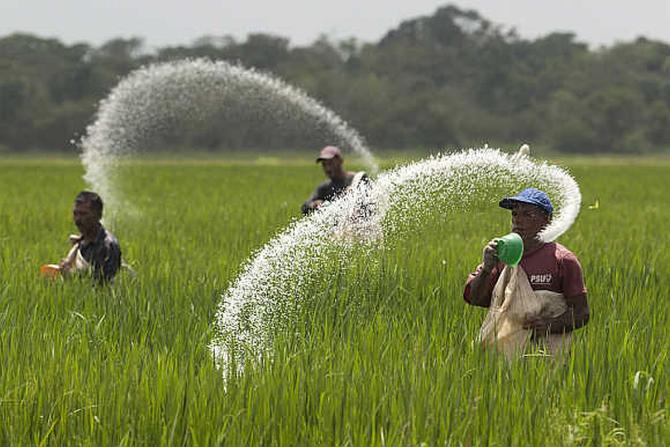 Fertiliser