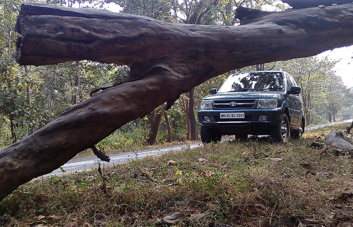 The Tata Safari 2.2 VTT