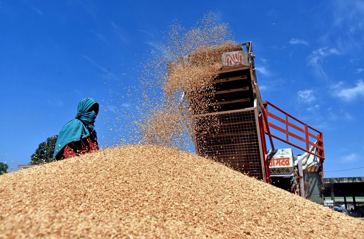 India eyeing Ukraine, Russia's wheat market share
