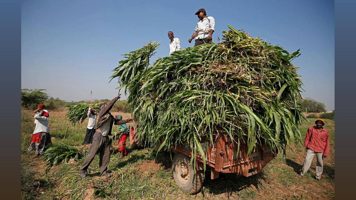 Union Agri Minister Lauds Punjab Farmers