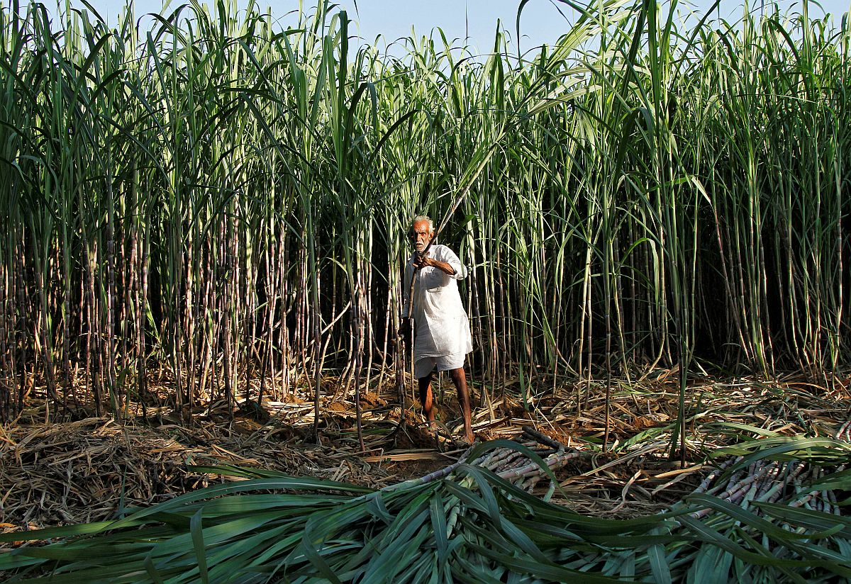 Sugar MSP Hike: Govt Decision Expected Soon