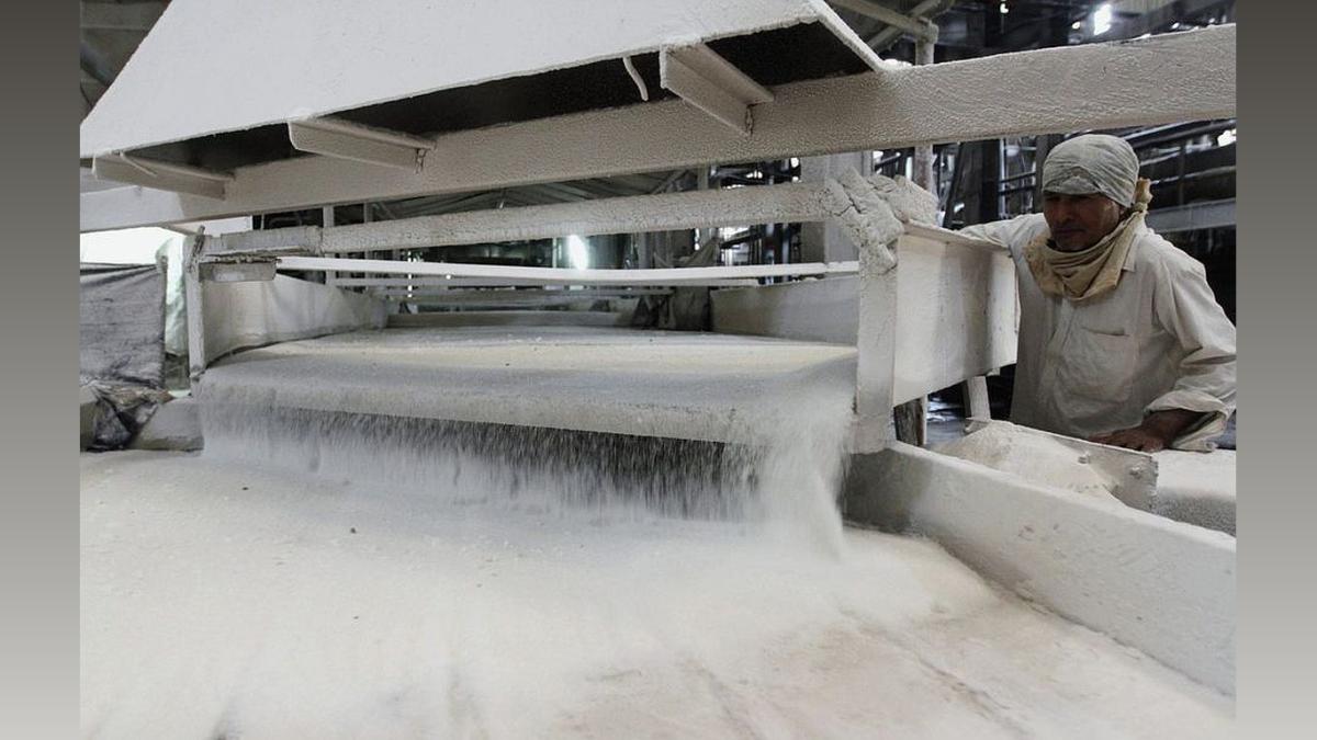India Sugar Exports: 5.16 Lakh Tonnes Till June 6