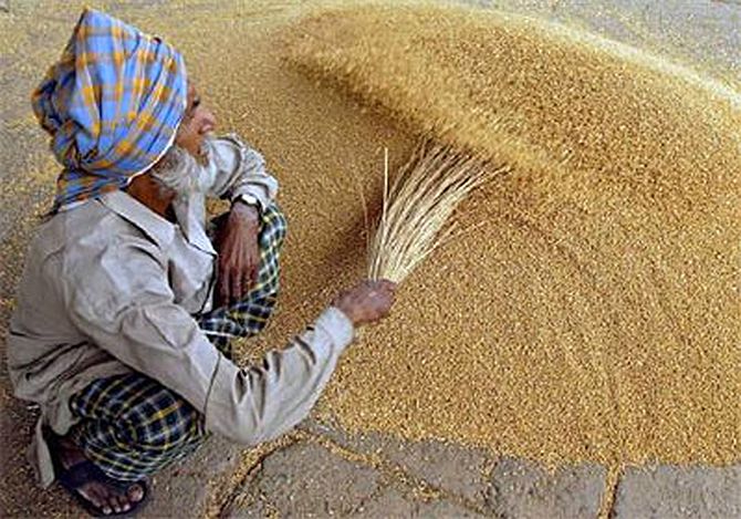 Wheat prices at record high of Rs 23,547/tonne