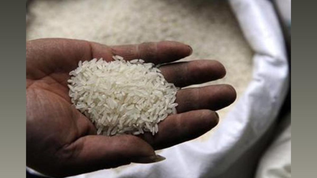 WTO Accuses India of Excessive Wheat, Rice Support