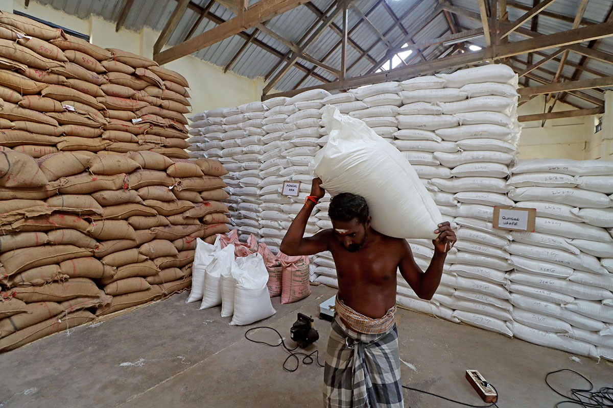 Fortified Rice Supply Extended to 2028: Govt