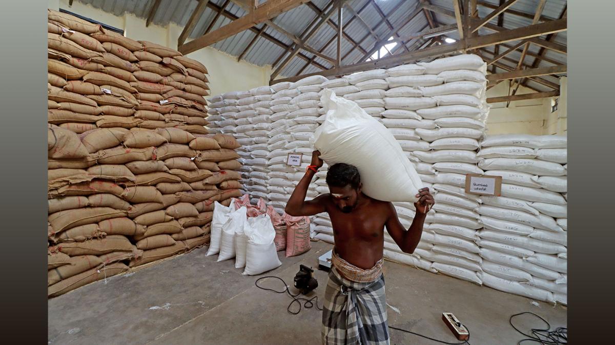 India Agri Exports to Hit $50 Billion in FY25: Rice Curb Lifting Boosts