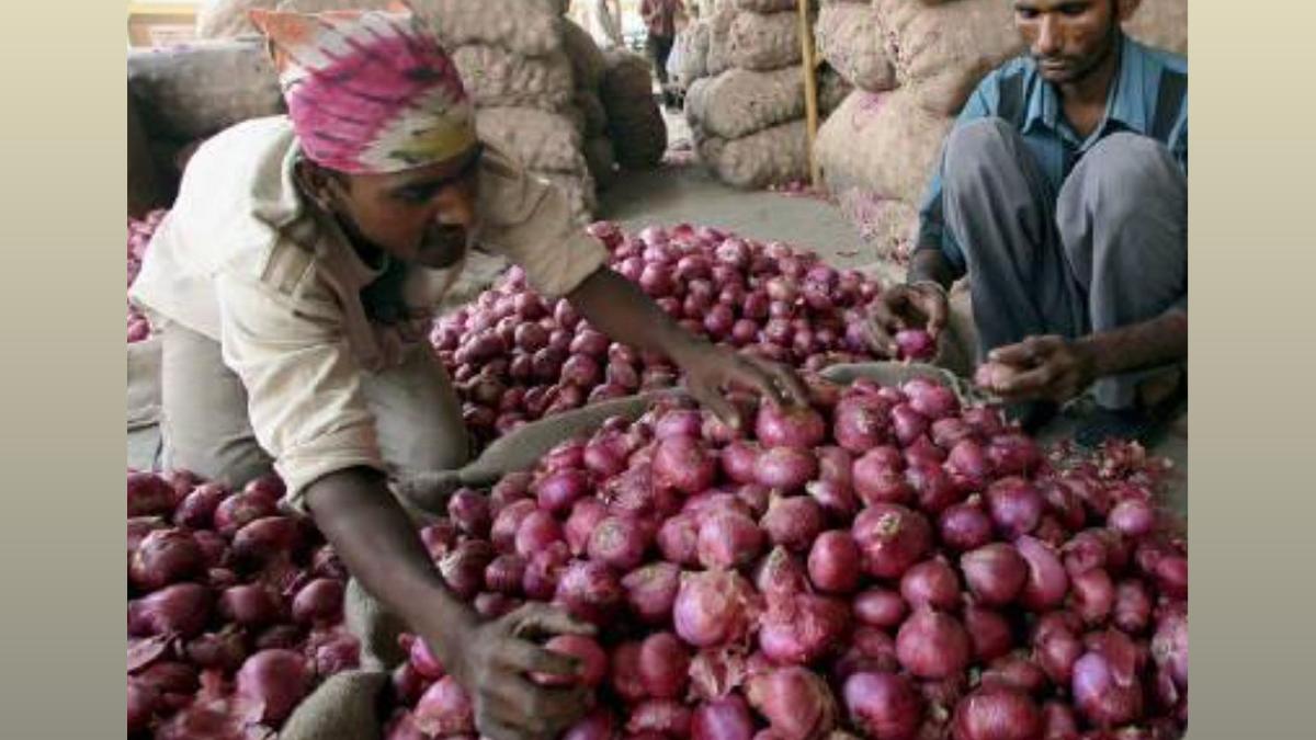 Govt to Release Onion Buffer Stock to Stabilize Prices