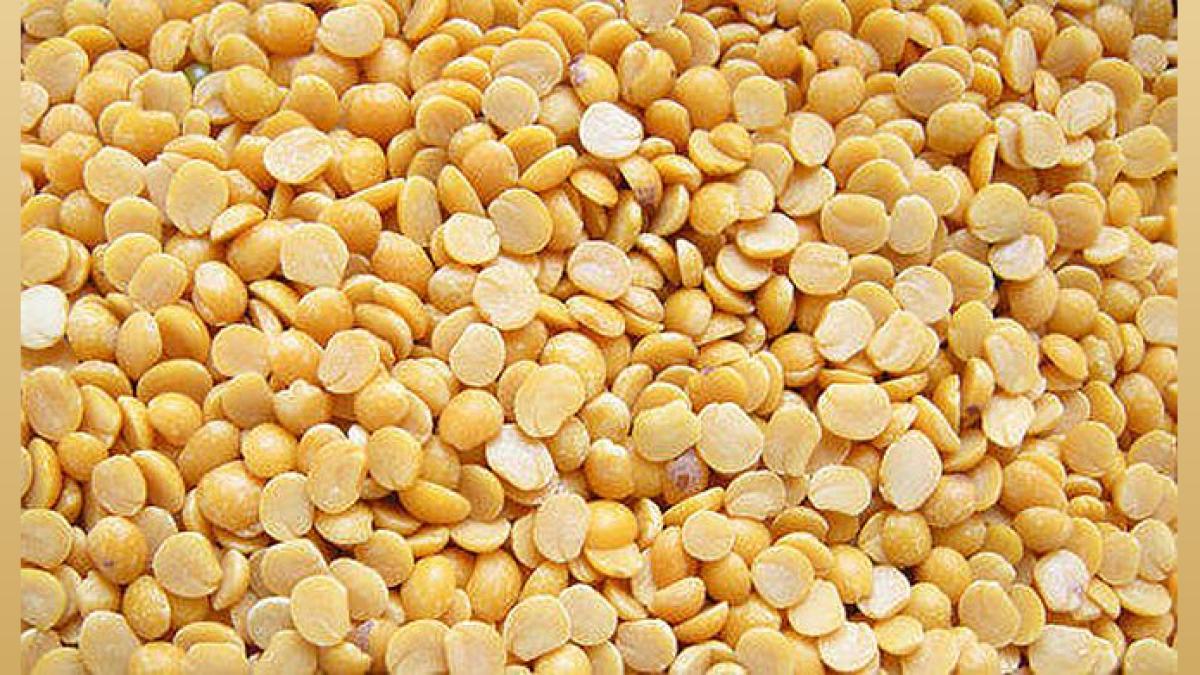 Russia & India to Boost Pulses Trade: Govt