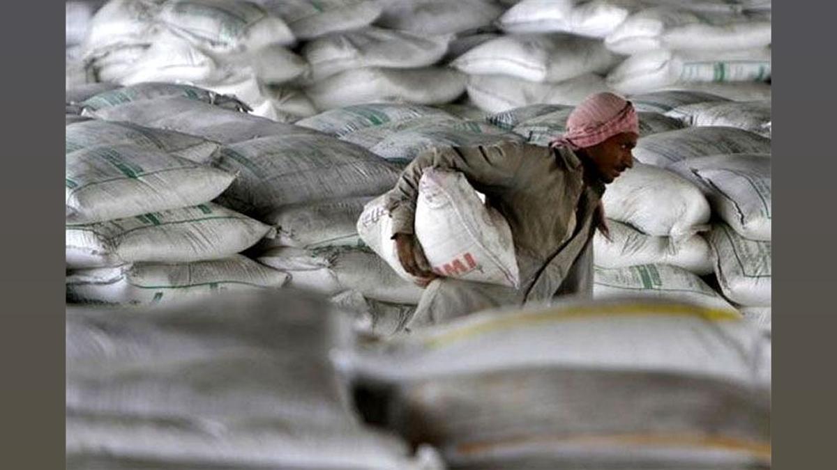 Shree Cement Q2 Profit Plunges 83% to Rs 77 cr | News