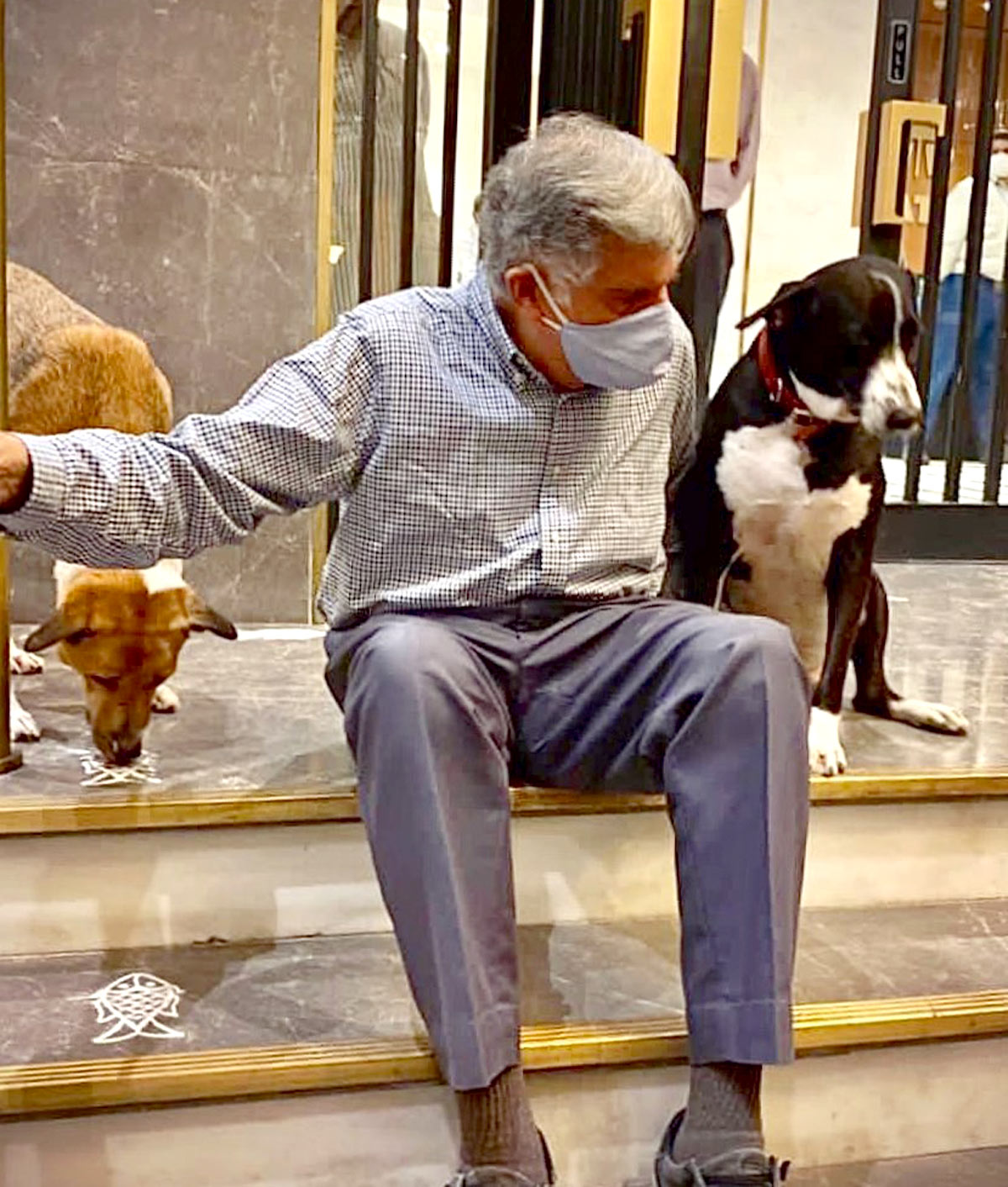 Strays of south Mumbai lose their best friend Tata