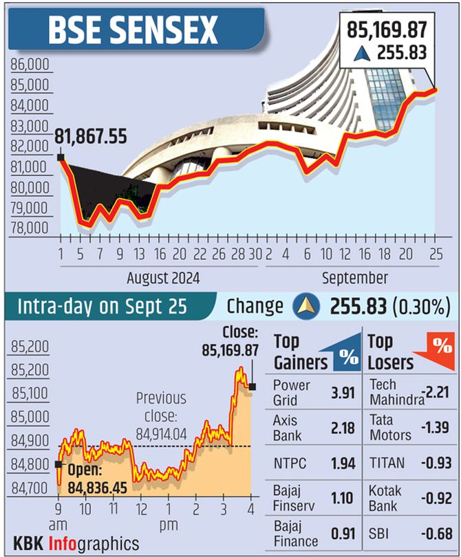 Sensex, Nifty Tumble: Market Update