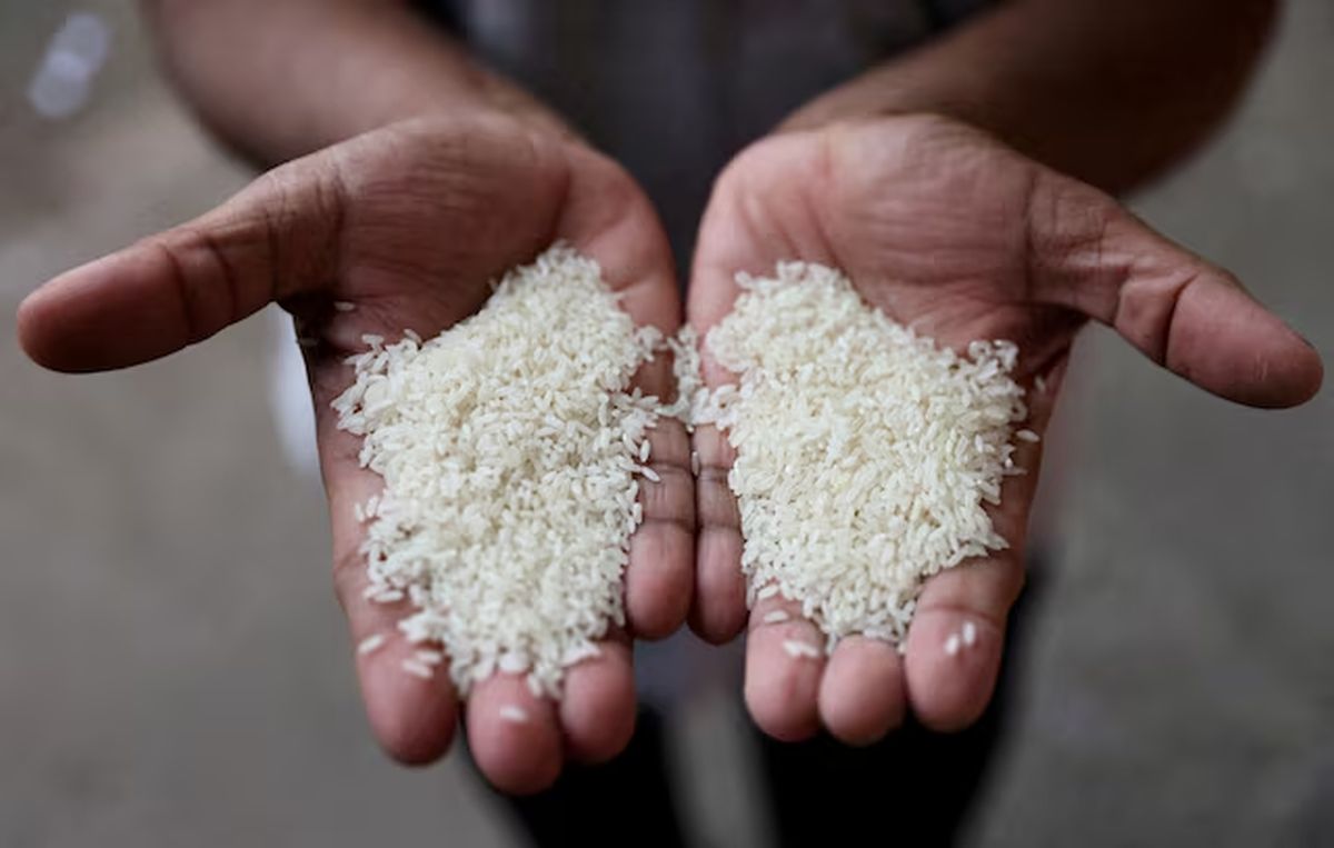 India Eases Rice Exports: South Africa Welcomes Move