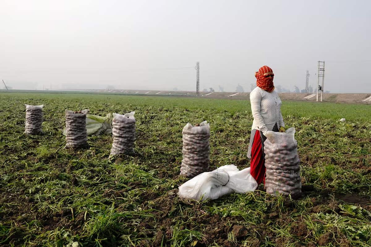 India’s GDP grows 7.8% in Q1; highest in five quarters