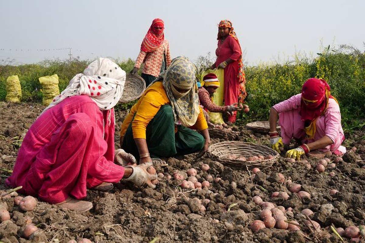 GDP growth GDP growth