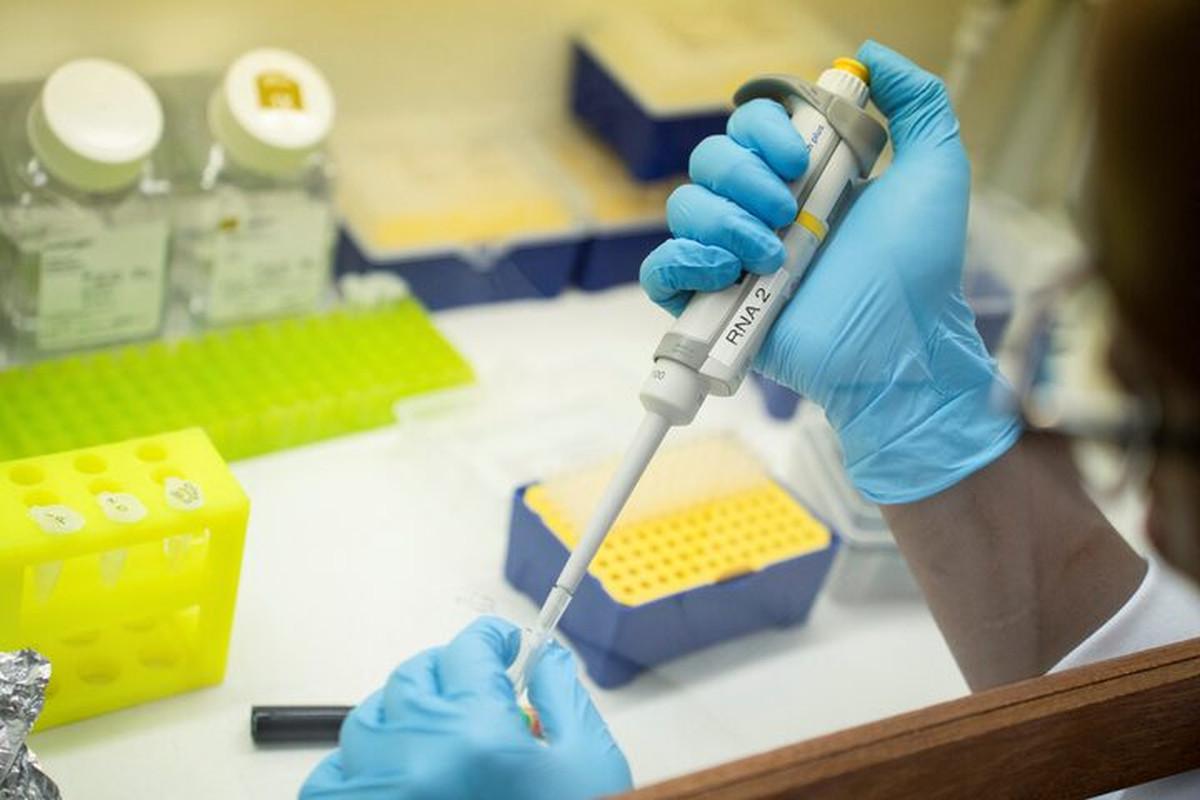 Genetic lab Genetic lab