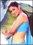 Tabu in Jaal