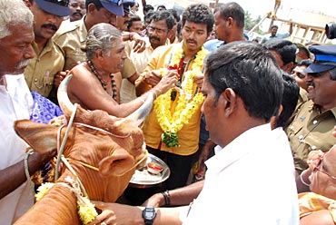 Vijay donates cows