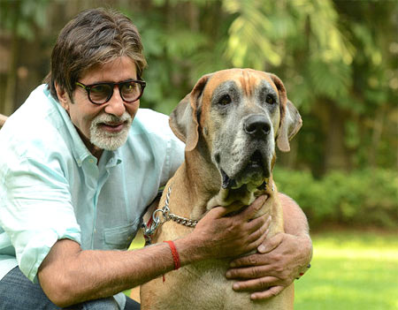 Amitabh Bachchan with his pet dog Shanouk