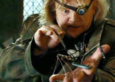 Mad-Eye Moody performs the Unforgivable Curses on a spider