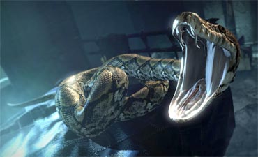 Nagini was one of Voldemort's Horcruxes