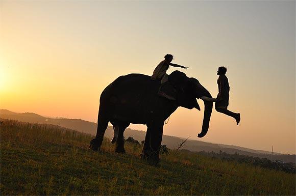 A scene from Kumki