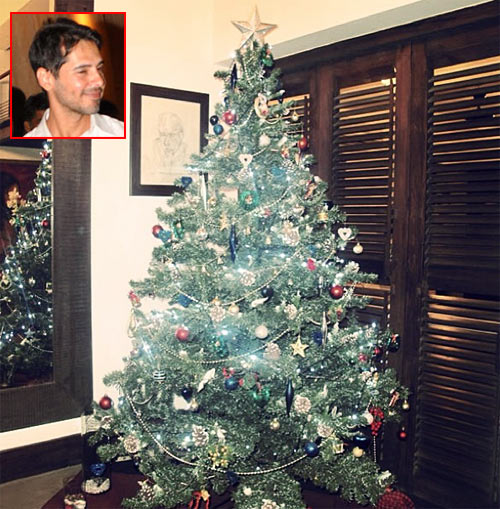 Dino Morea's Christmas tree