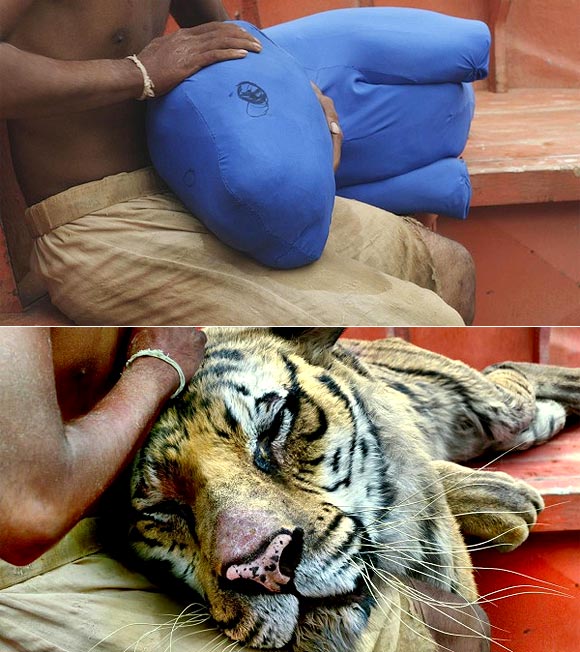 A scene from Life of Pi before and after visual effects