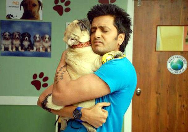 Riteish Deshumukh with Sackru the dog in Kya Super Cool Hain Hum