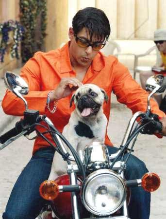 Salman Khan in Mujhse Shaadi Karogi