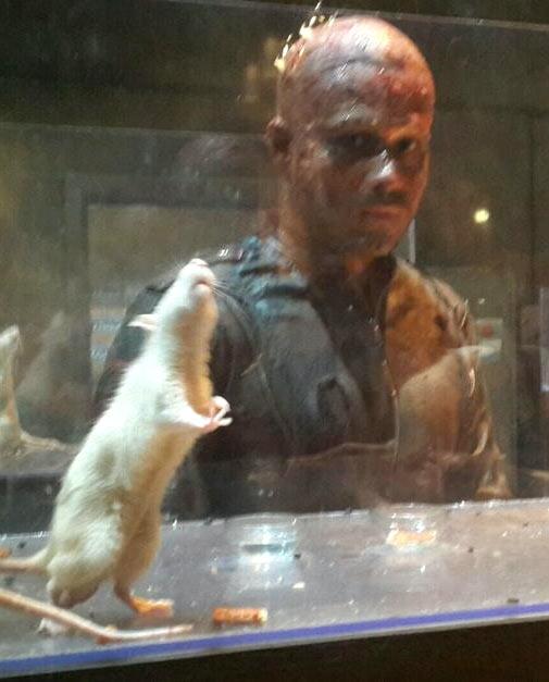 Emraan Hashmi in Mr. X