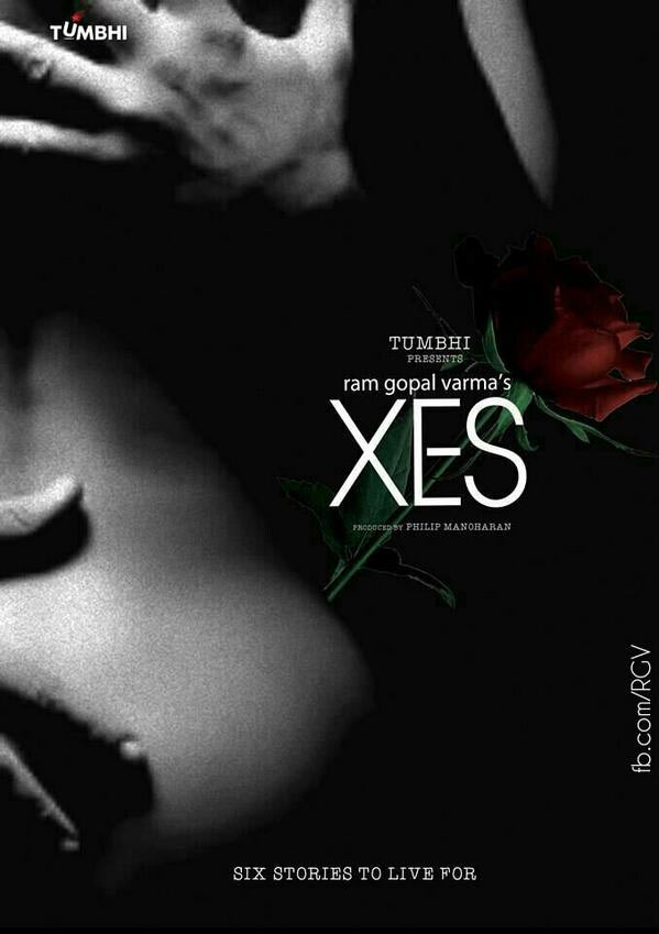 Movie poster of XES