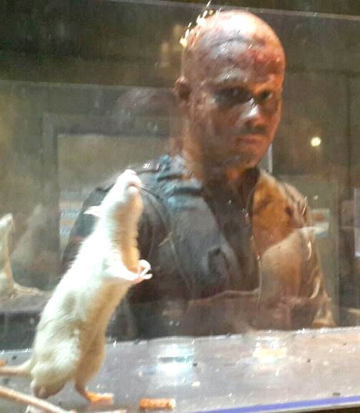 Emraan Hashmi in Mr.X