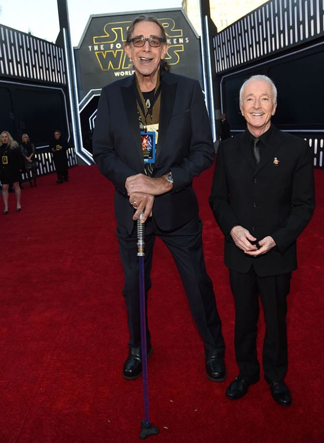Peter Mayhew and Anthony Daniels