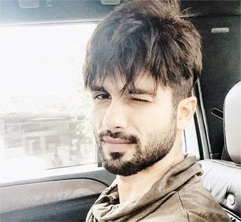 Shahid Kapoor not playing a Sikh in Rangoon  movies