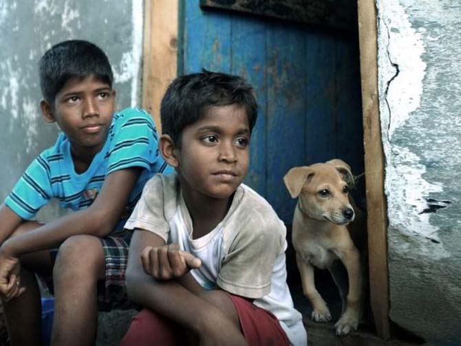 Kaaka Muttai still