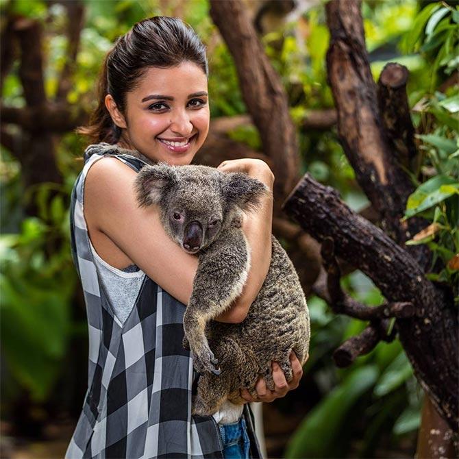 Parineeti Chopra