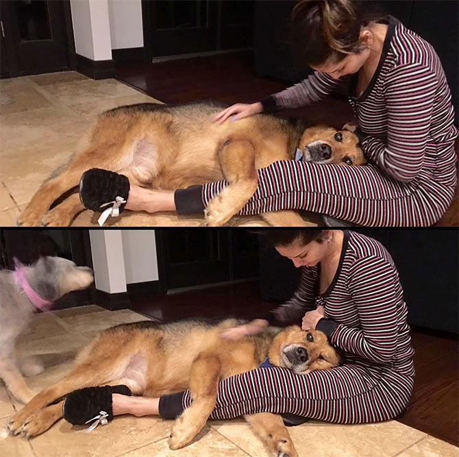 Sunny Leone Sex Video Com Dog - Celebrating the *real* Sunny Leone - Rediff.com