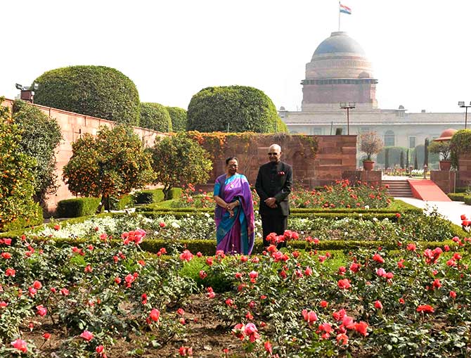 10 000 Tulips 135 Types Of Roses Welcome To The Mughal Gardens