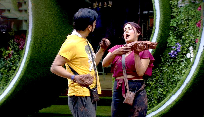 Bigg Boss 13 Shehnaaz Shefali get into a brawl Rediff