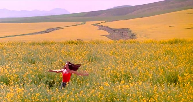 When Bollywood danced in a field of gold