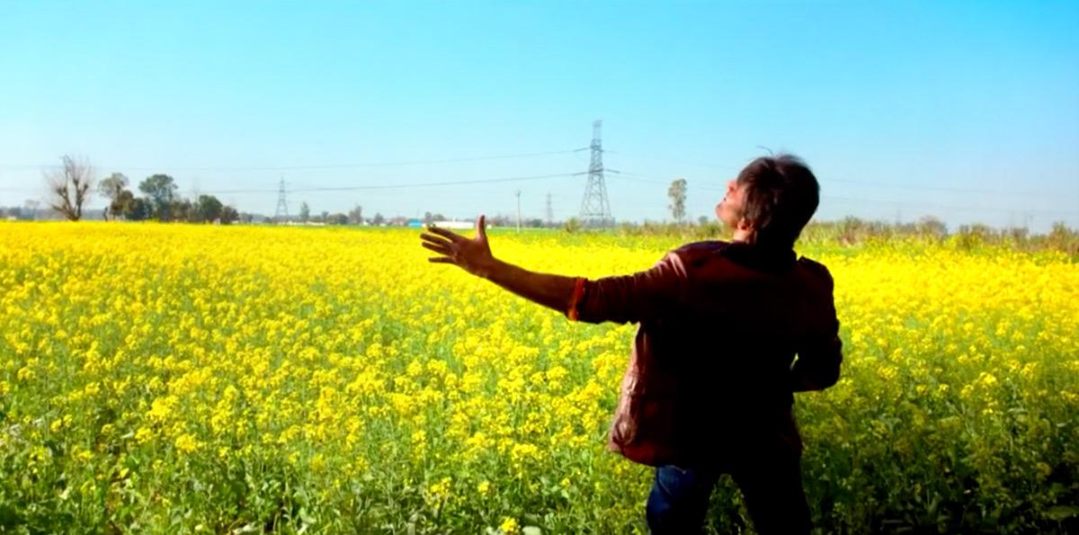 When Bollywood danced in a field of gold