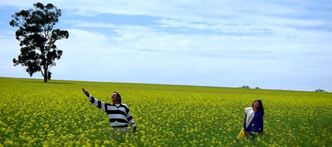 When Bollywood danced in a field of gold