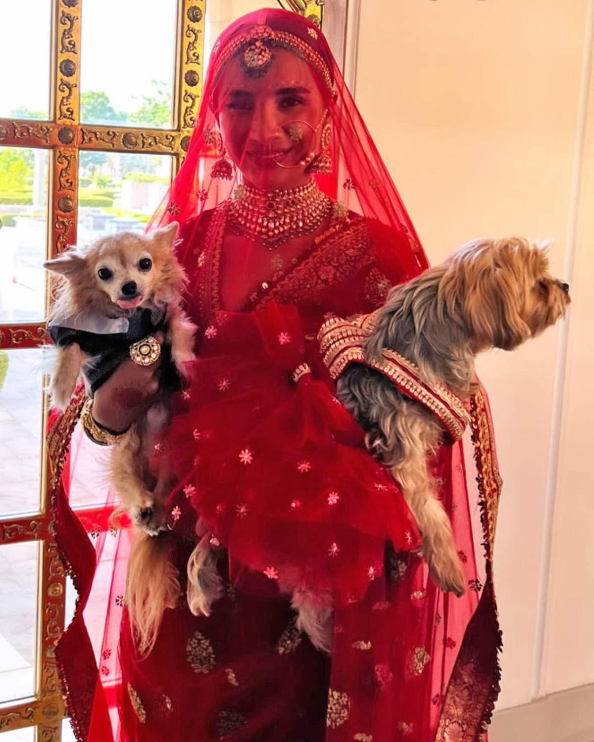 Patralekhaa's Pets Attend Her Wedding