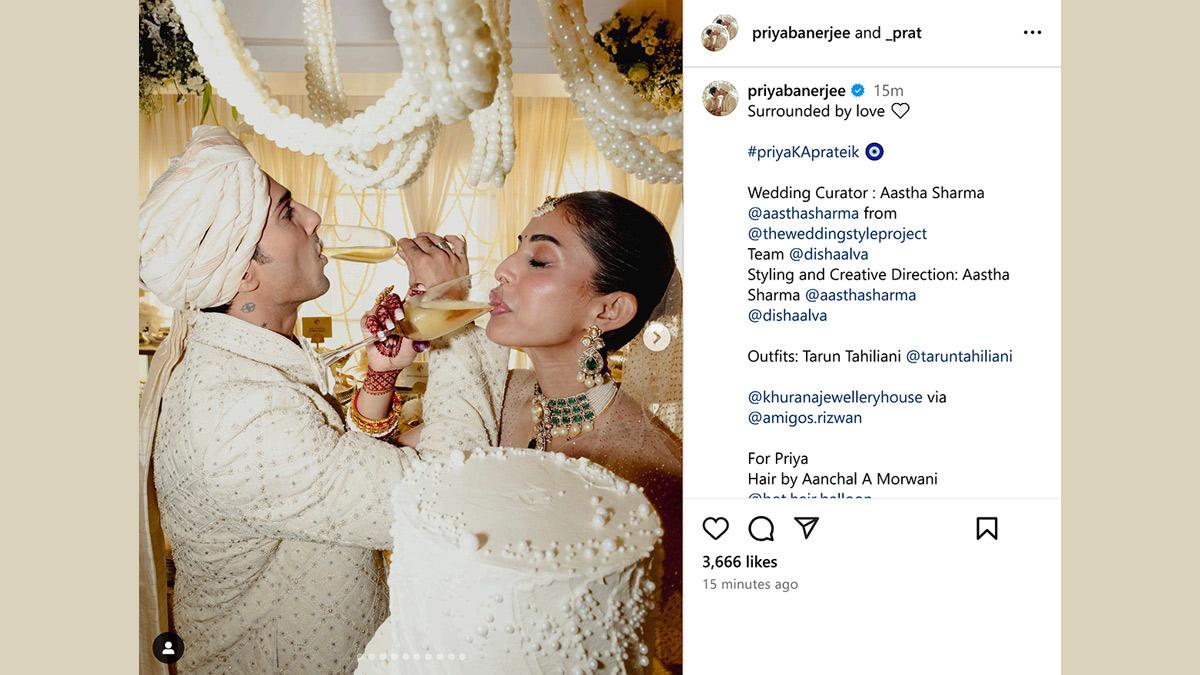 Priya & Prateik's Wedding: Unseen Photos Revealed