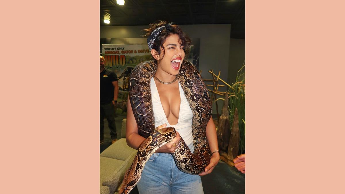 Що Пріянка робить зі зміями? Що Пріянка робить зі зміями?