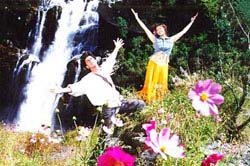 Madhuri, Shah Rukh in the fields