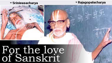 For the love of Sanskrit